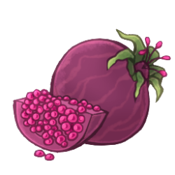 Aphrodisiatic Fruit