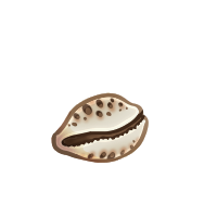 Cowrie