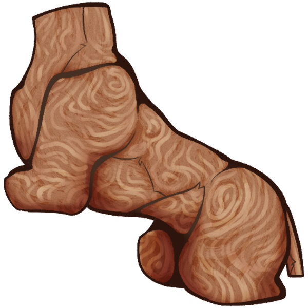 Wooden Body